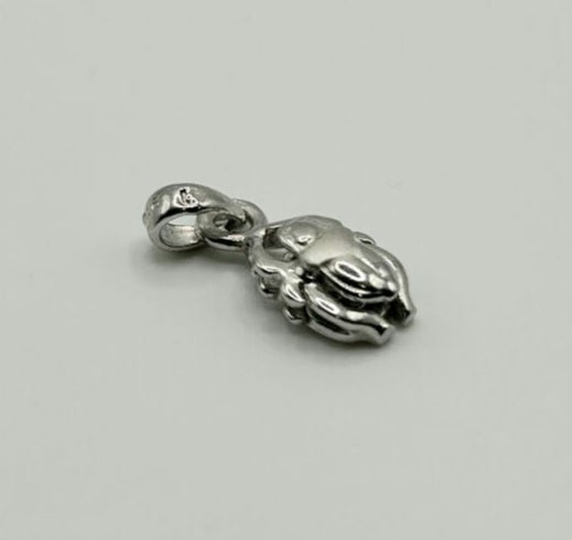 Pendentif Scarabée en argent 925
