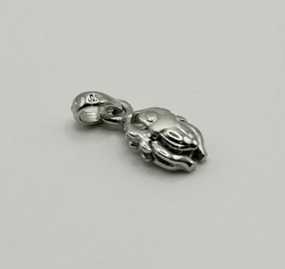 Pendentif Scarabée en argent 925